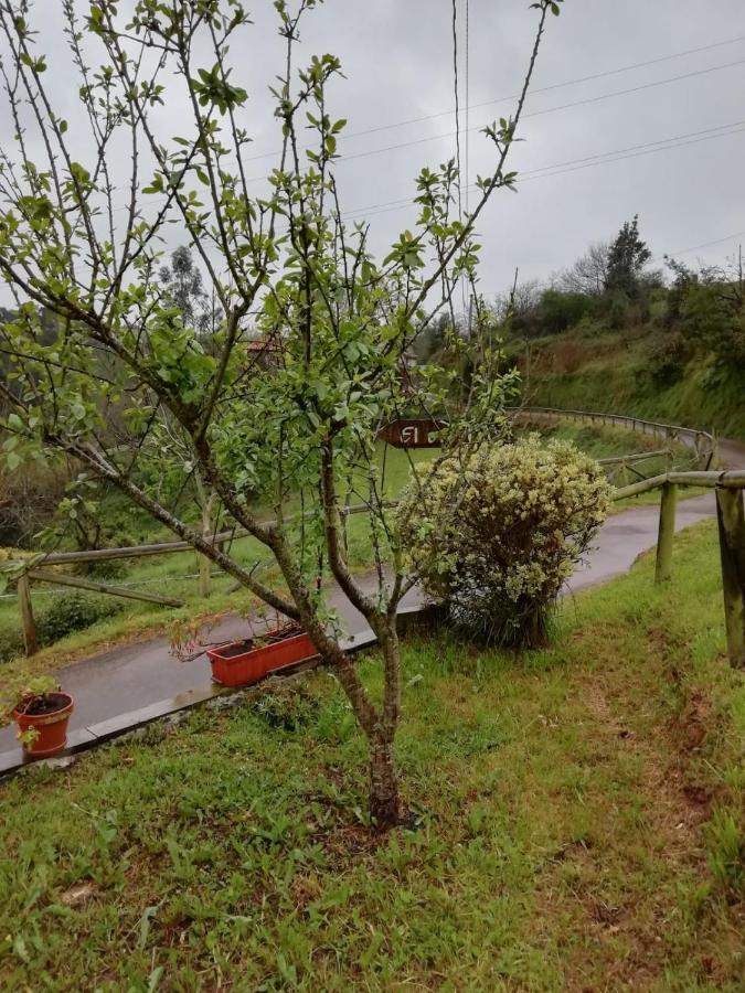 El Oteru I Guest House Villaviciosa  Bagian luar foto